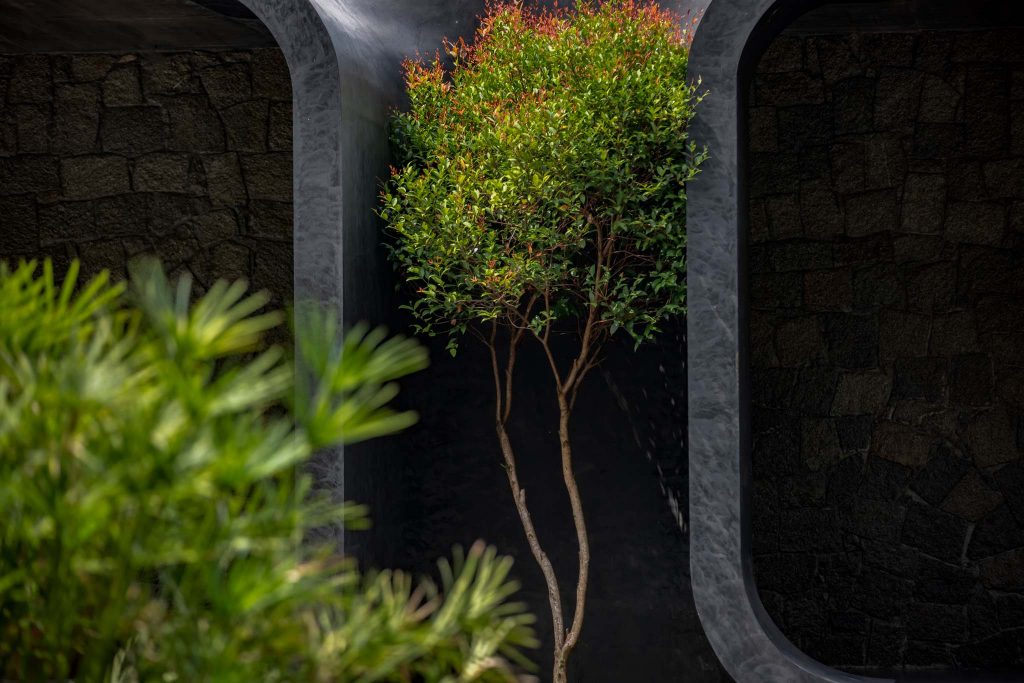 Casa Naturaleza