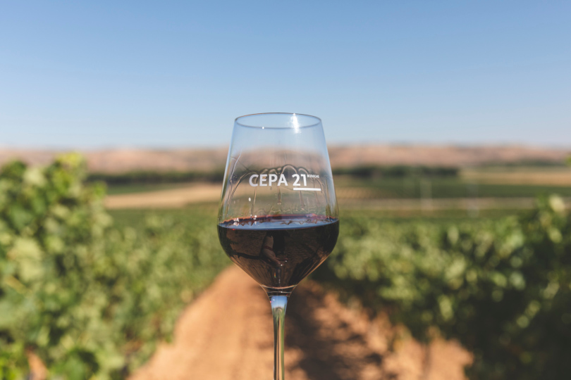 Cepa21