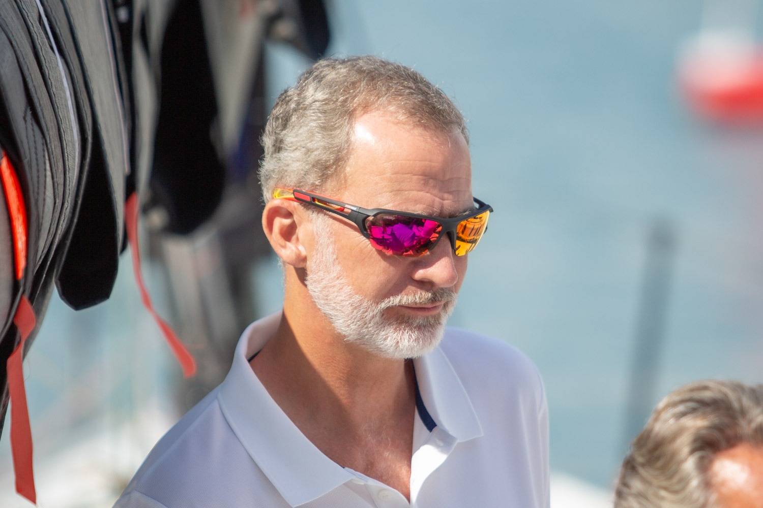Rey Felipe VI