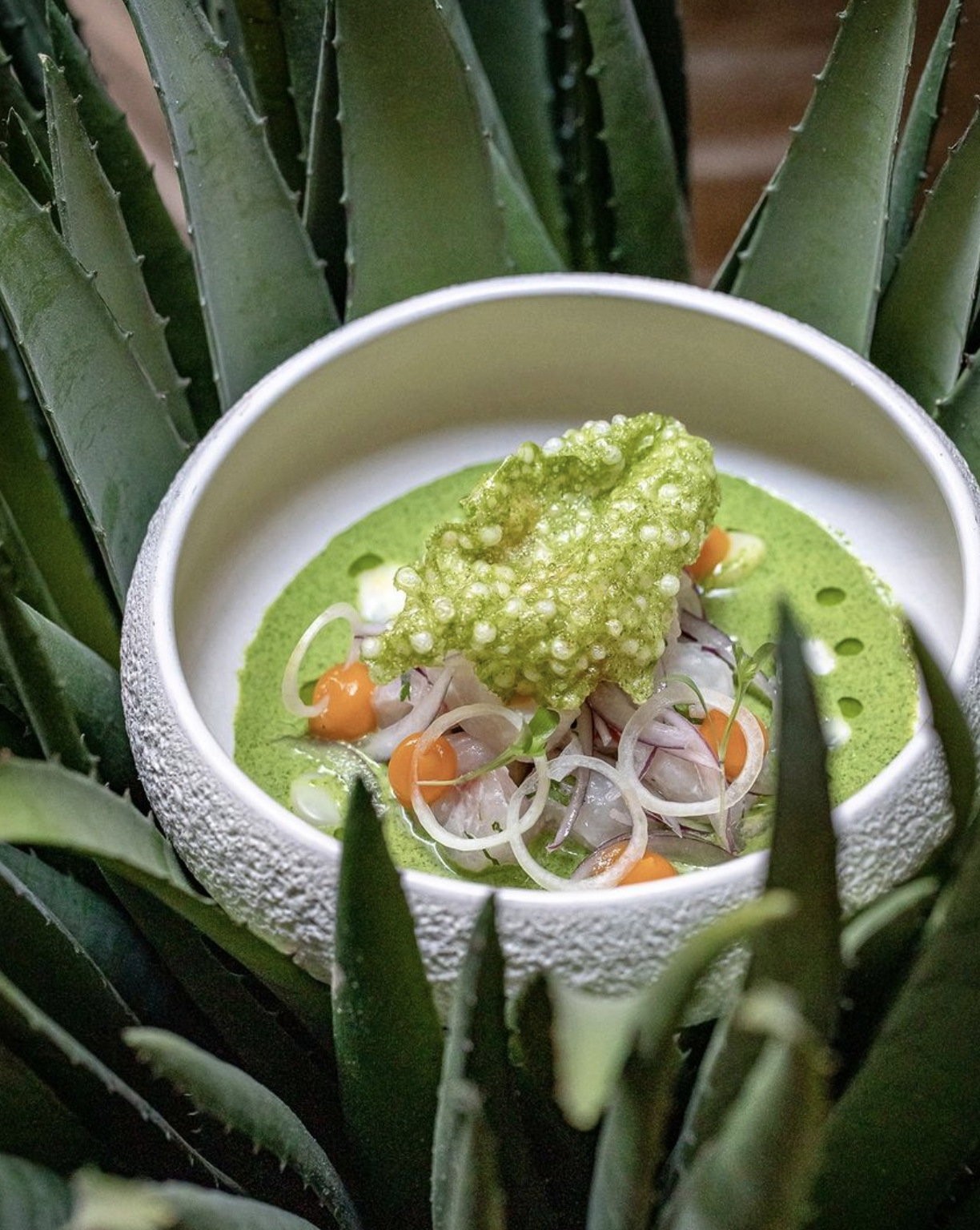 Ceviche