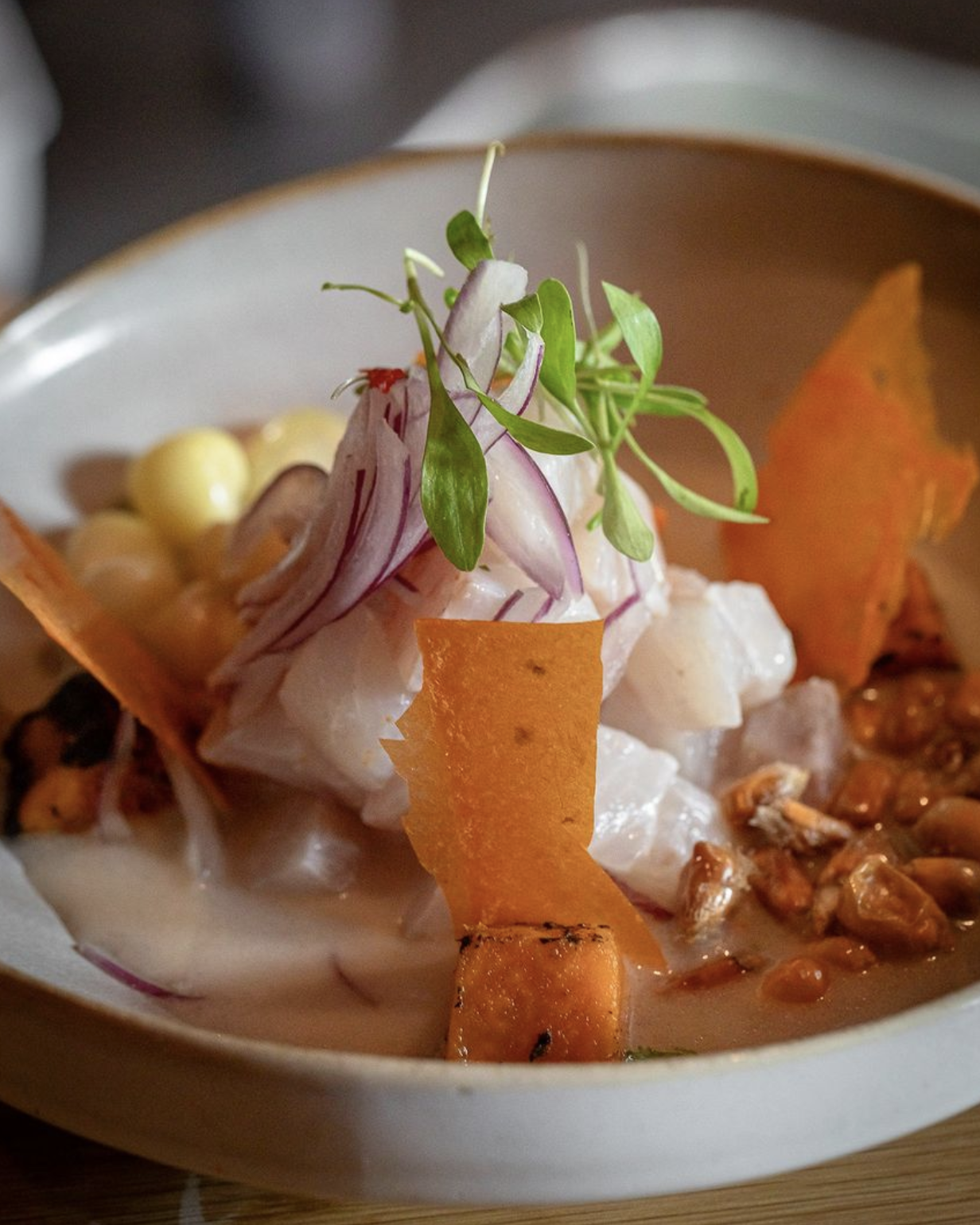 Ceviche