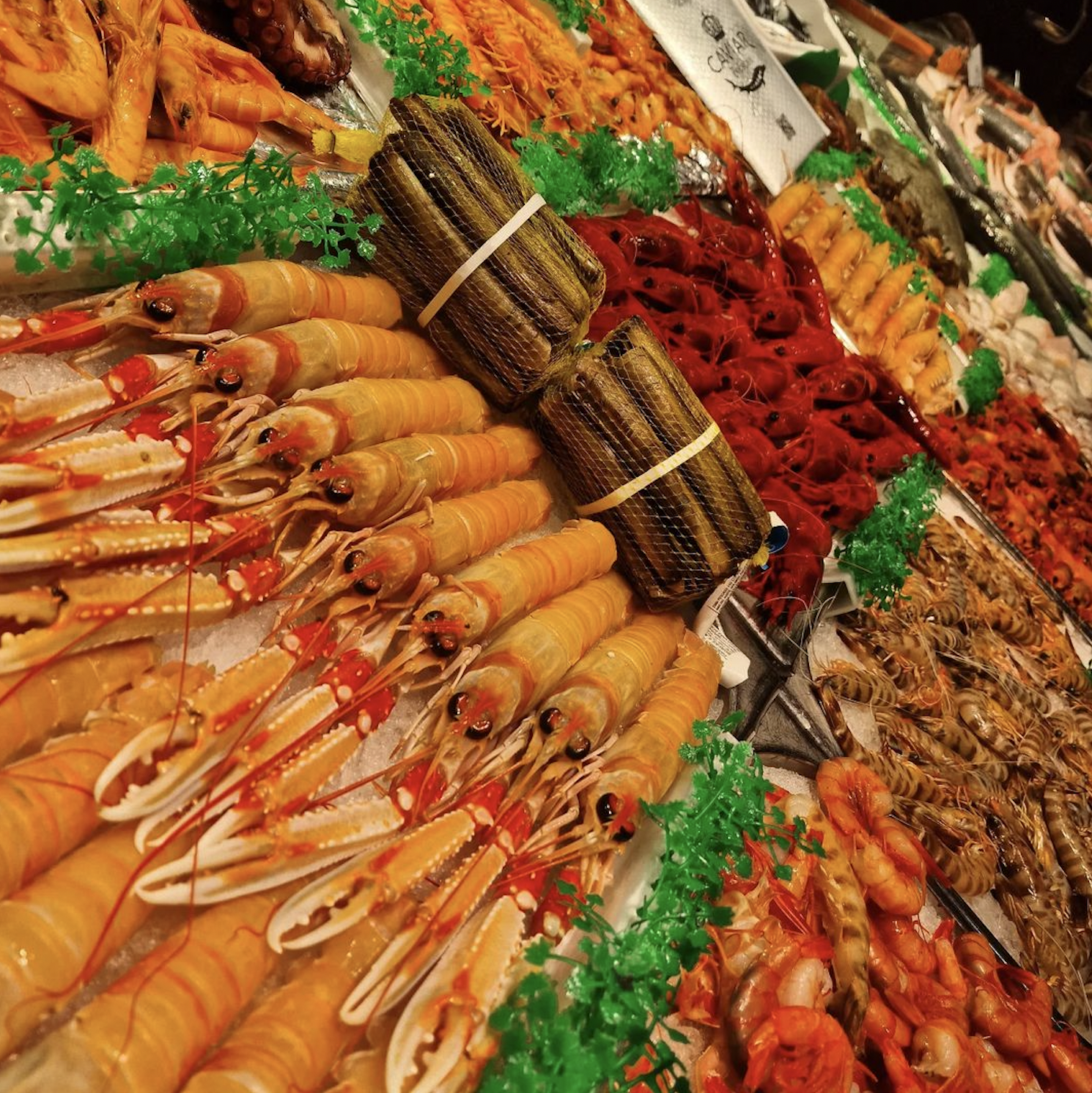 Mercados