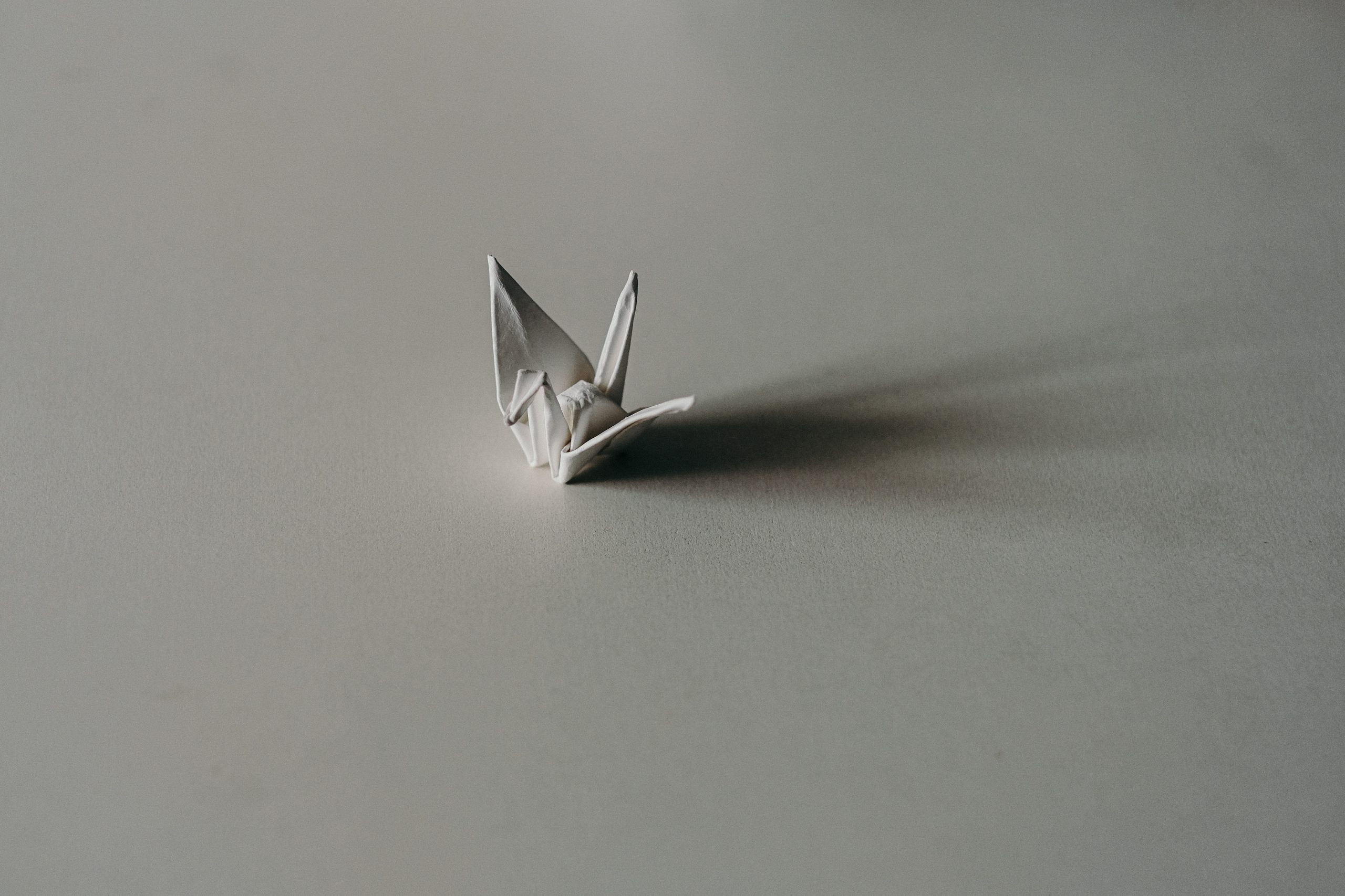 Origami