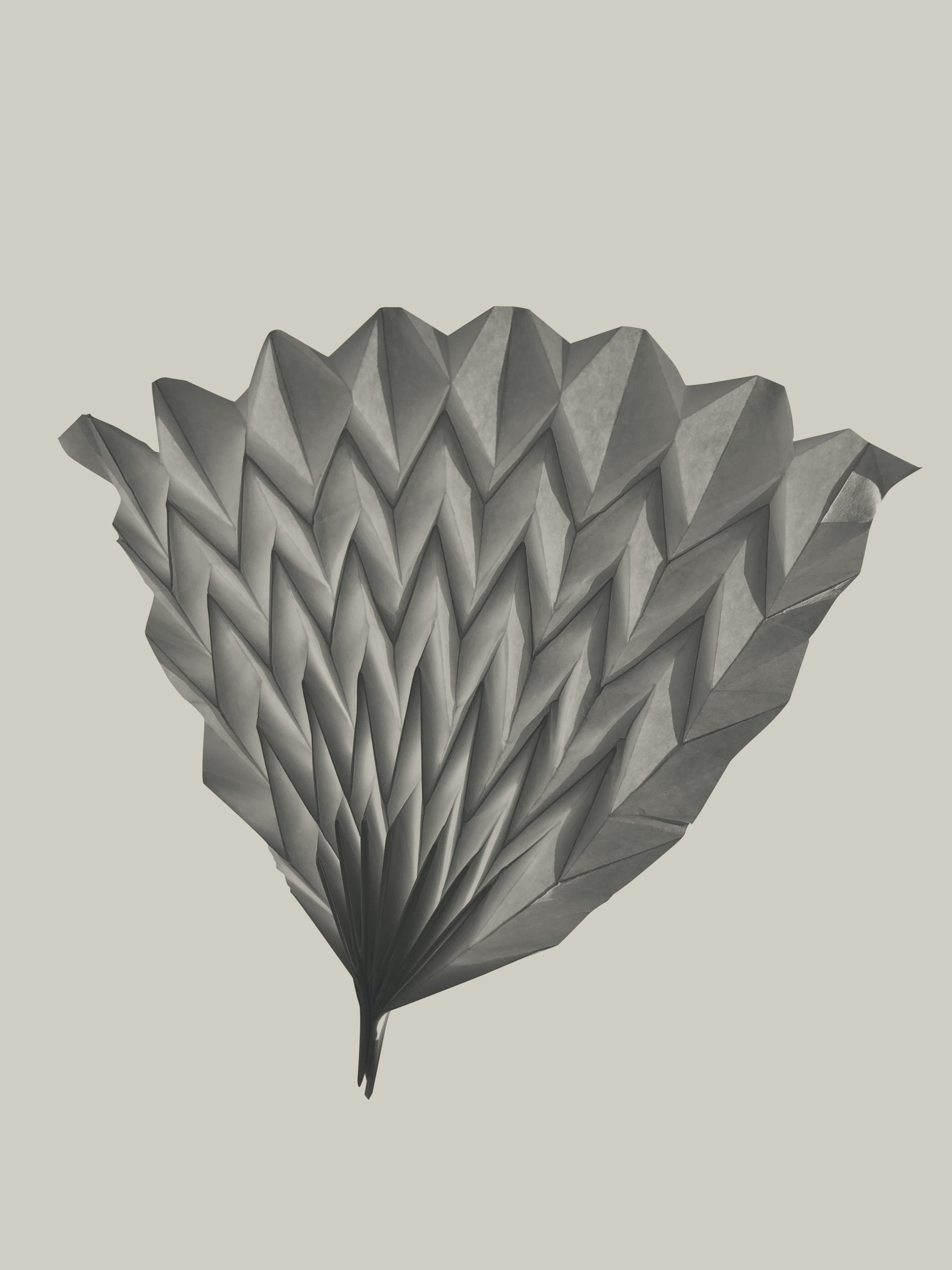 Origami