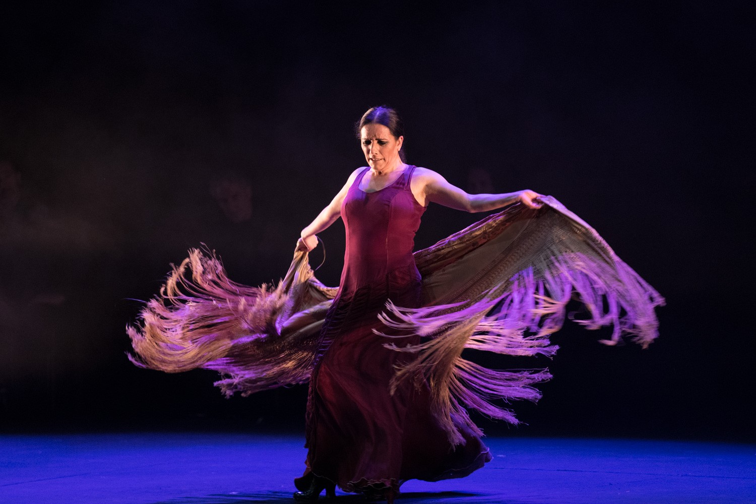 Festival de Flamenco en Madrid