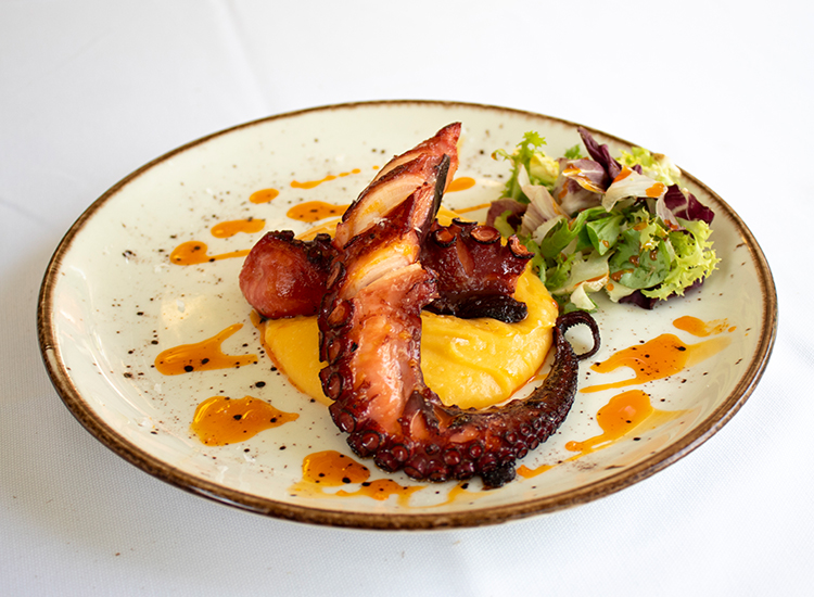 Pulpo