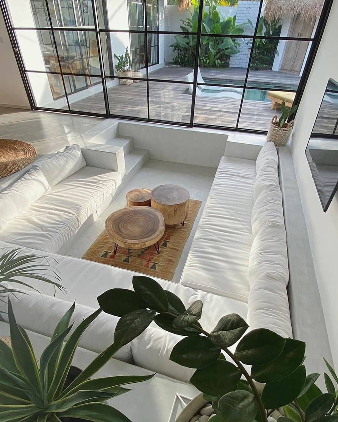 Plantas de interior