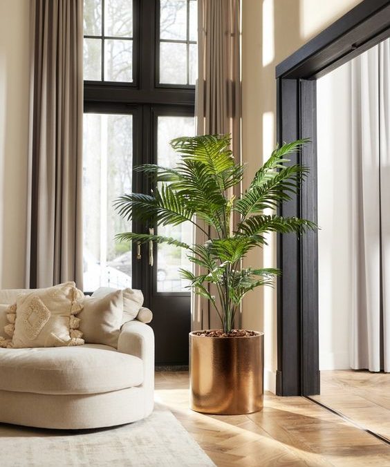 Decoración con plantas de interior