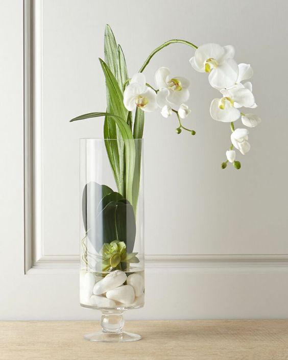 Orquídeas