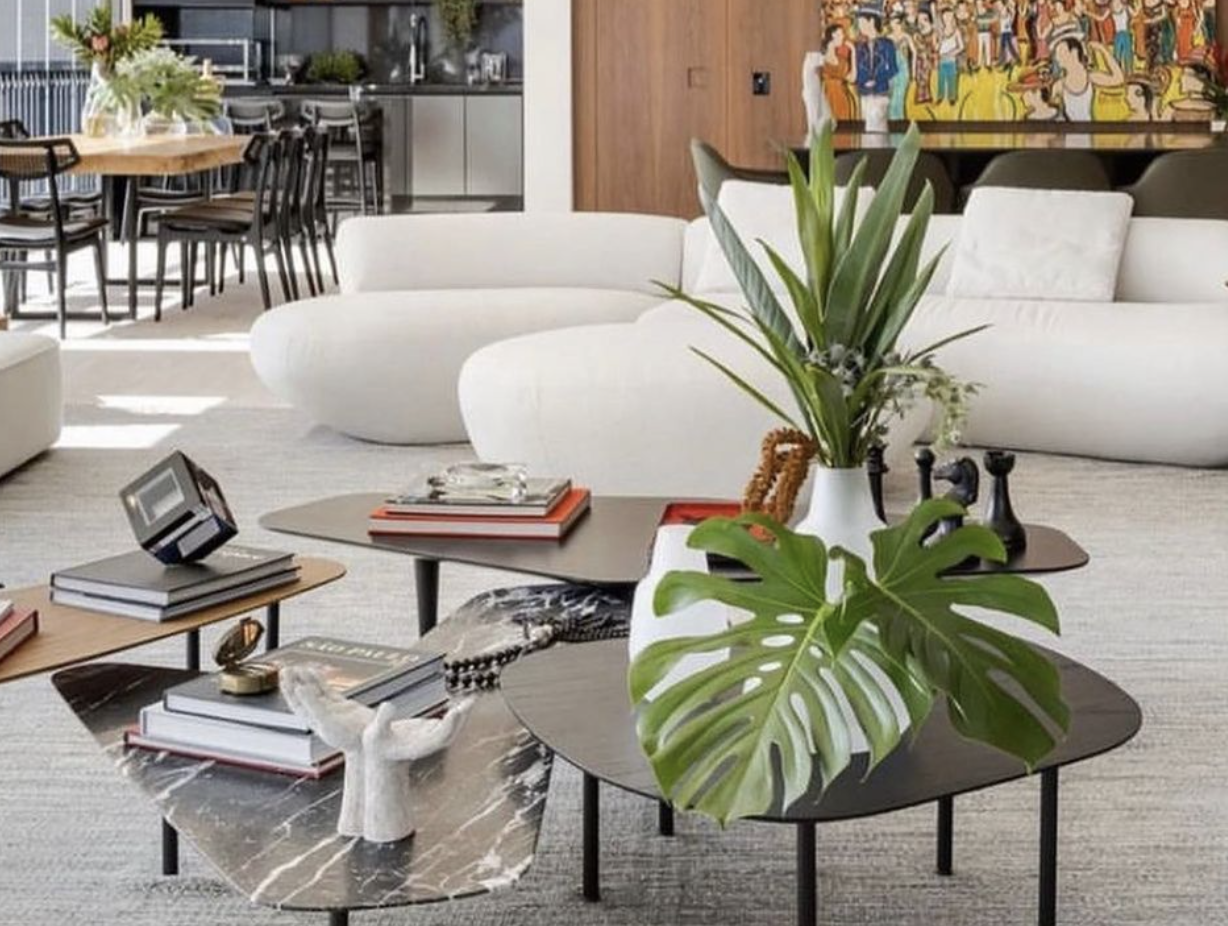 Plantas naturales interior