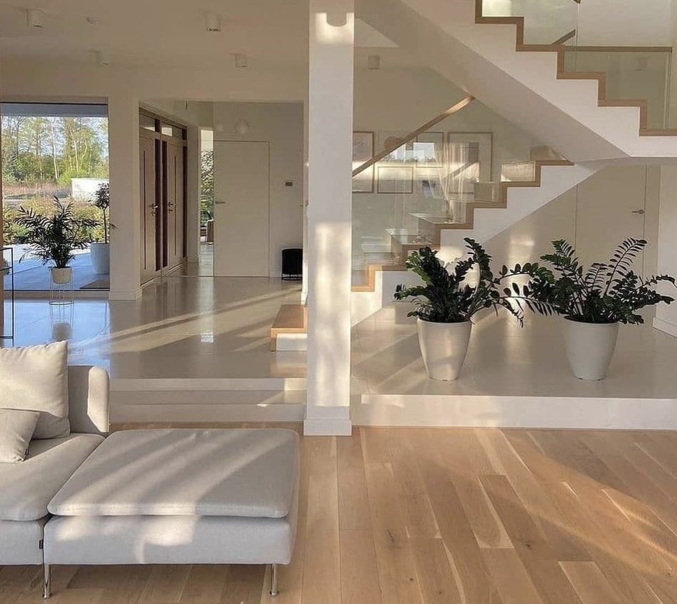 Plantas para el salón