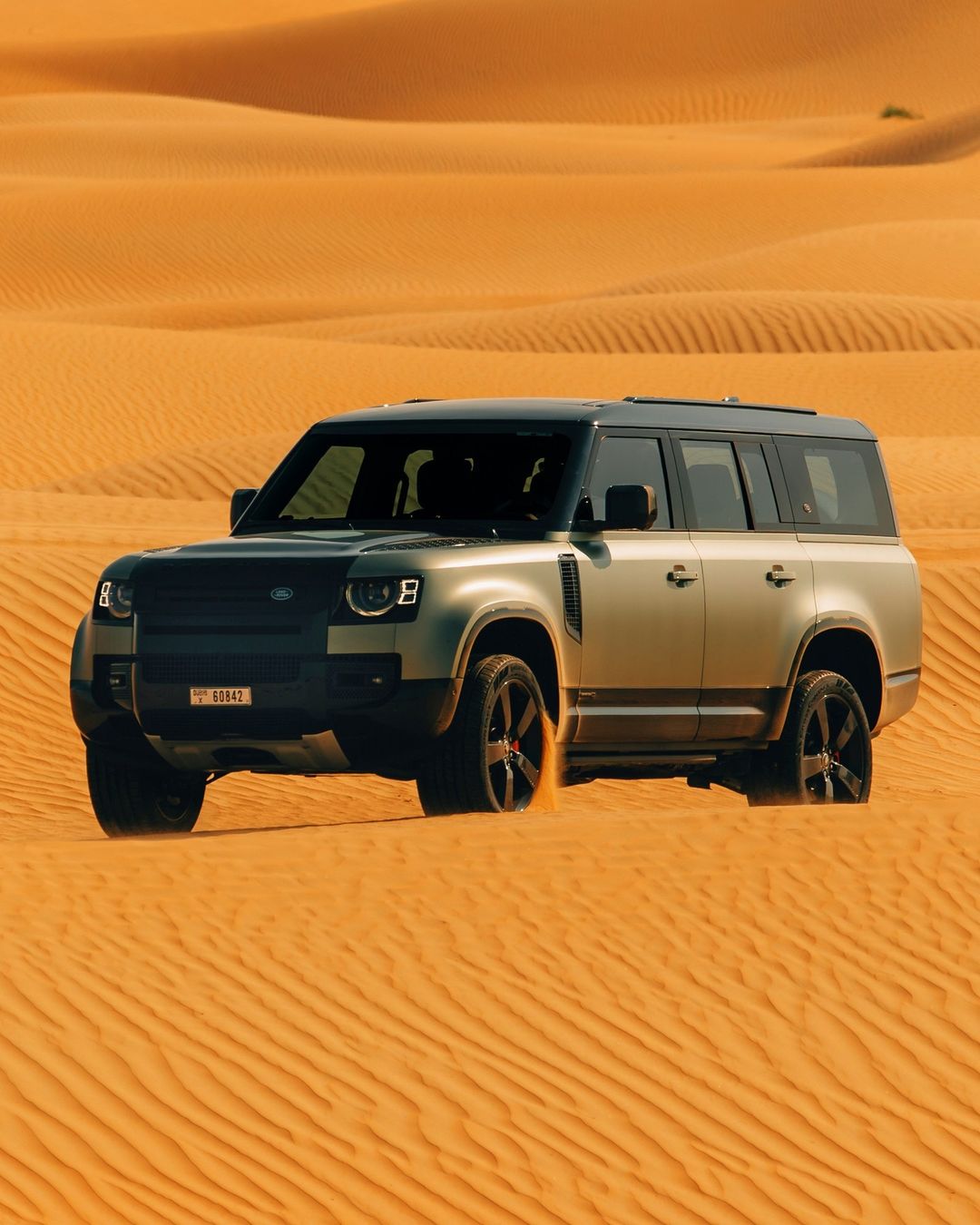 defender