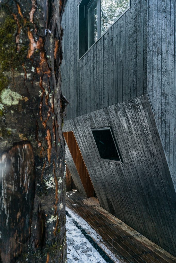 Detalle de la madera, material de construcci&oacute;n casas Patagonia
