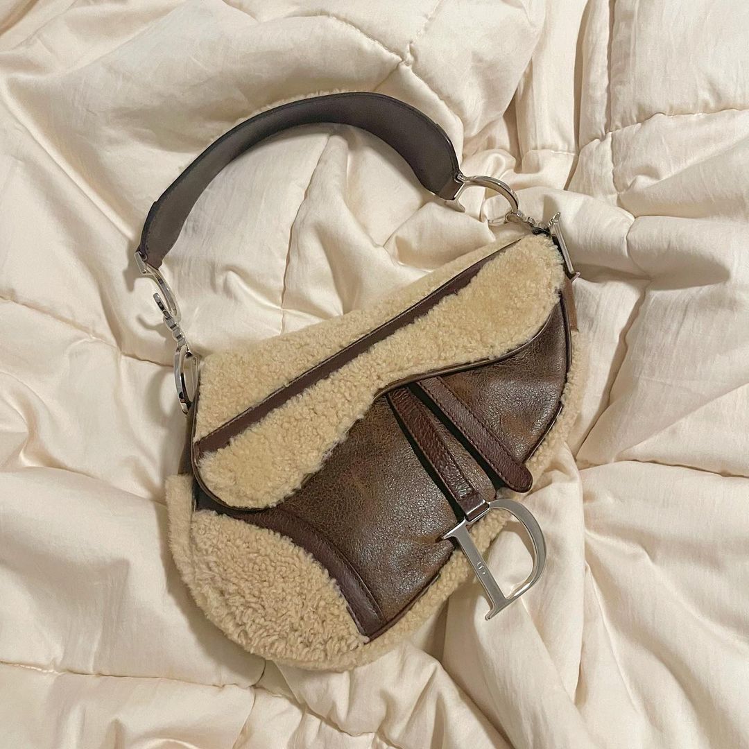 Bolso Dior Saddle Borreguti