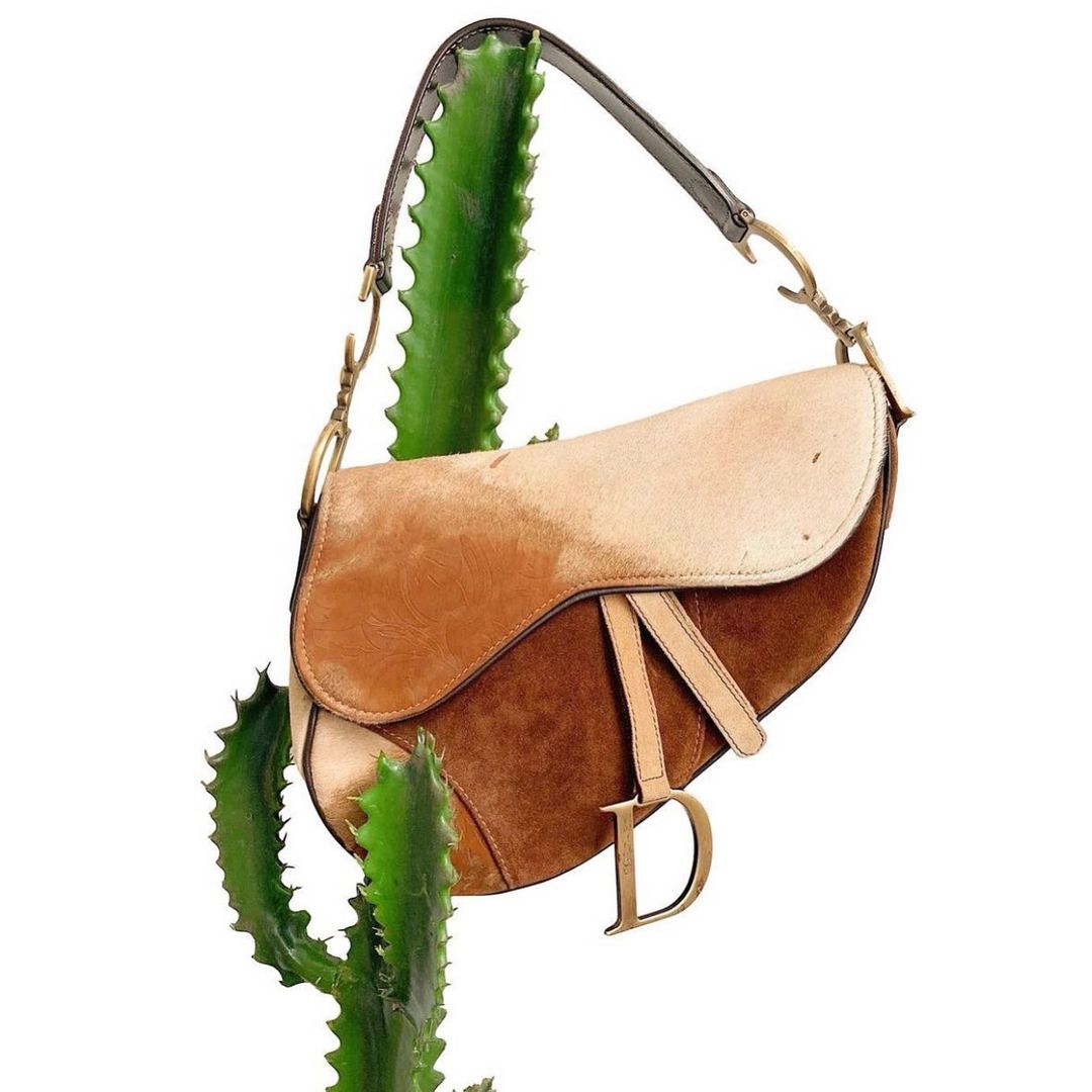 Dior Saddle