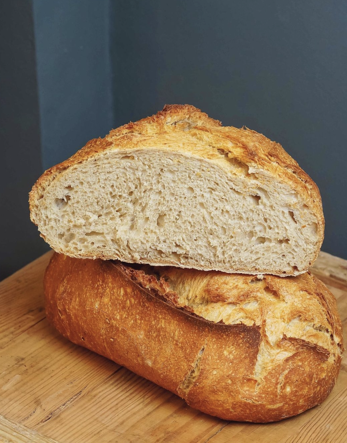 masa madre