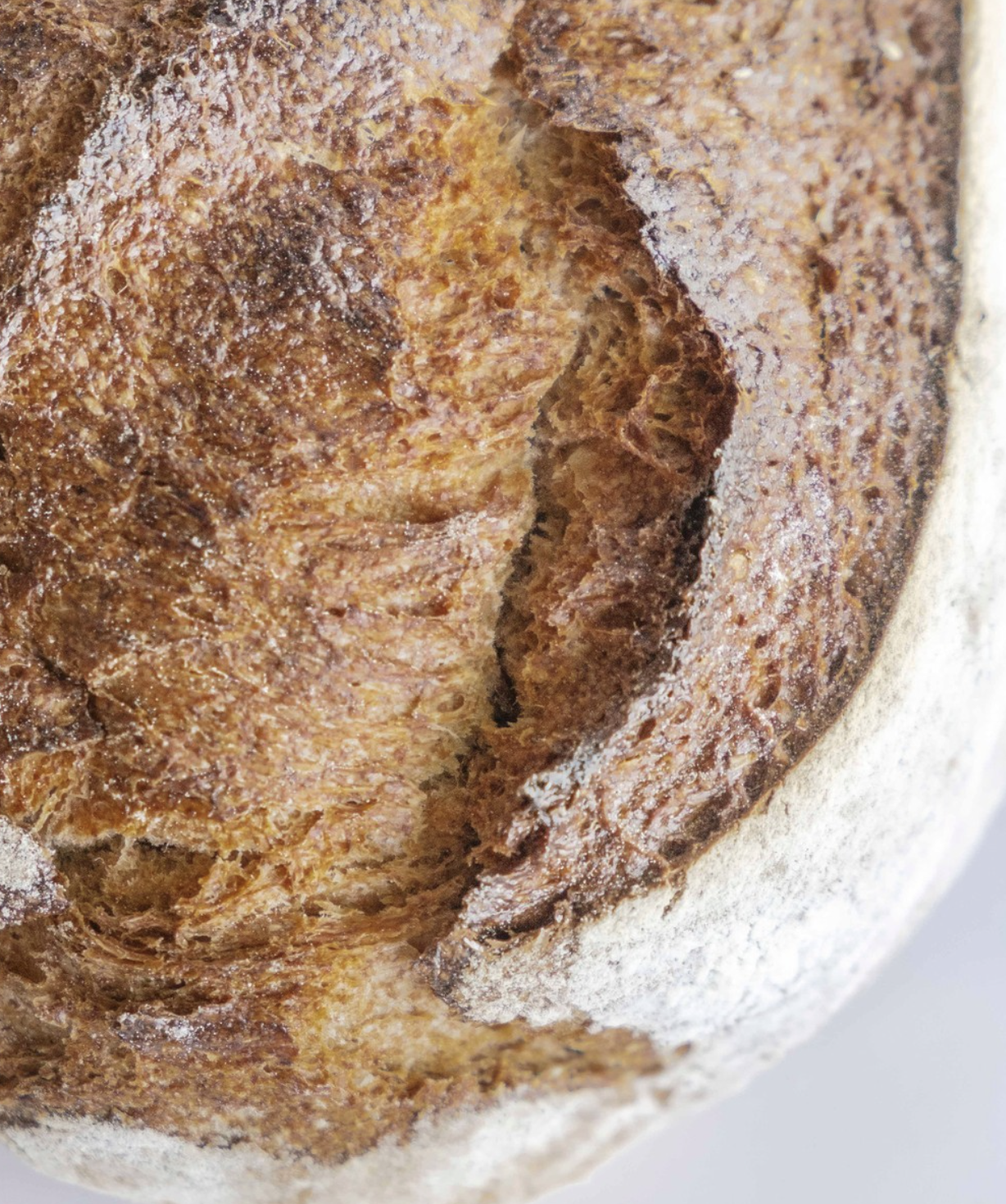 pan integral