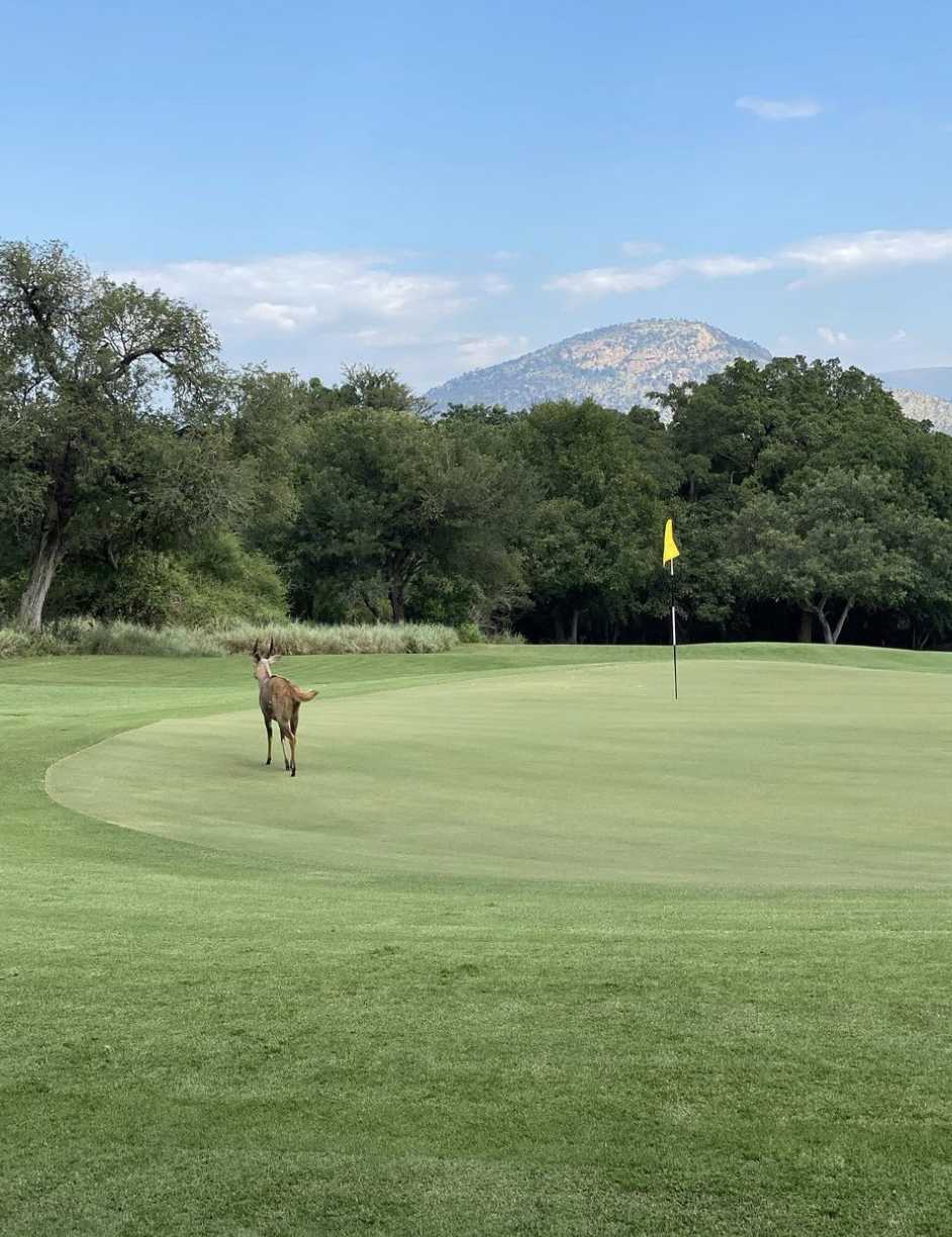 Golf