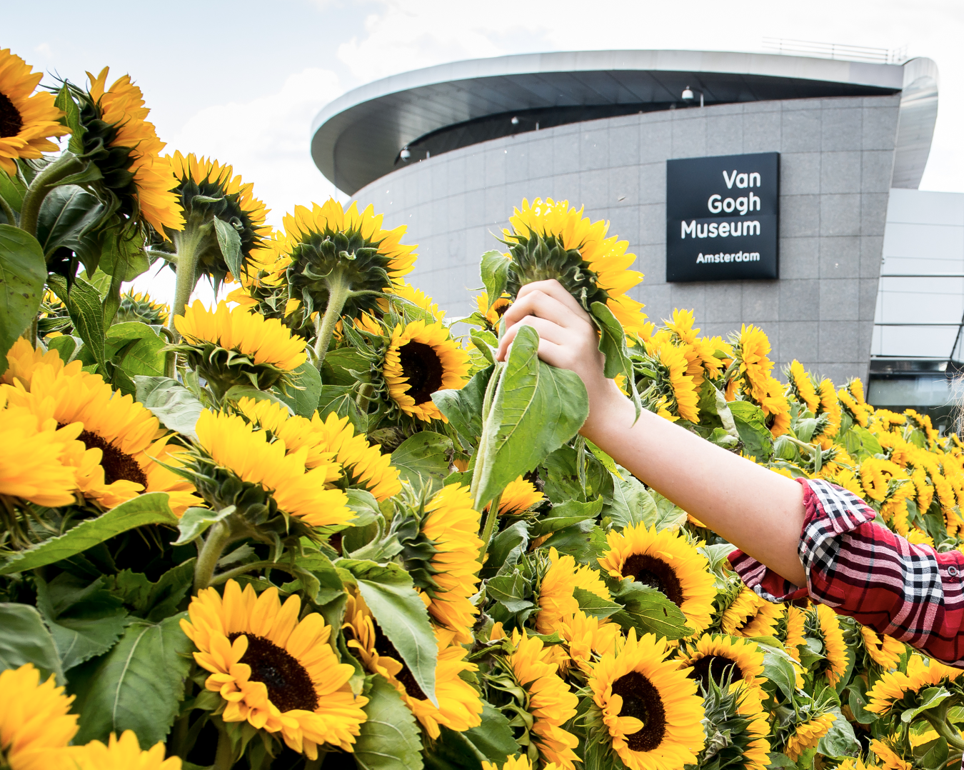Museo Van Gogh