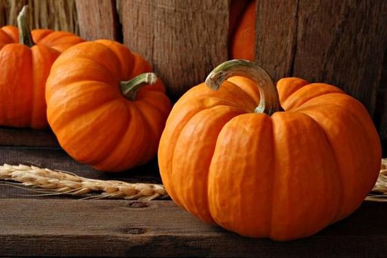 calabaza