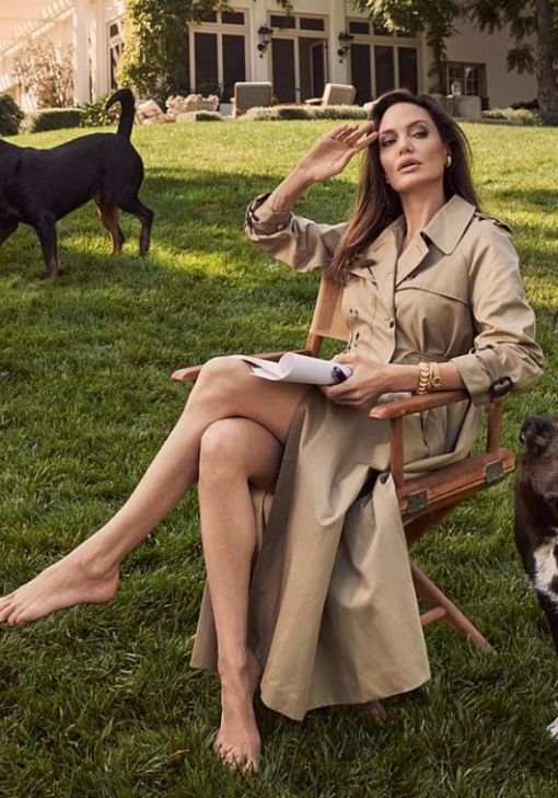 Trench Angelina Jolie
