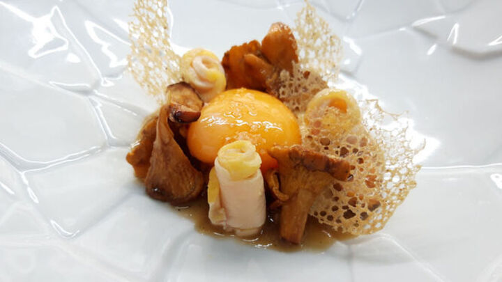 Plato de setas Abantal