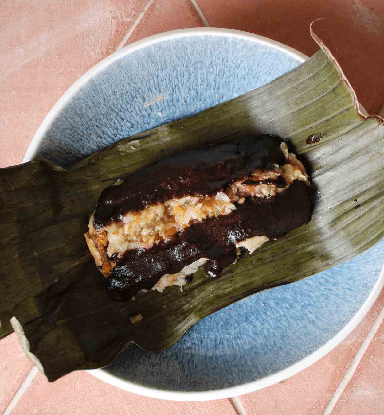 comida platos t&iacute;picos mexicanos