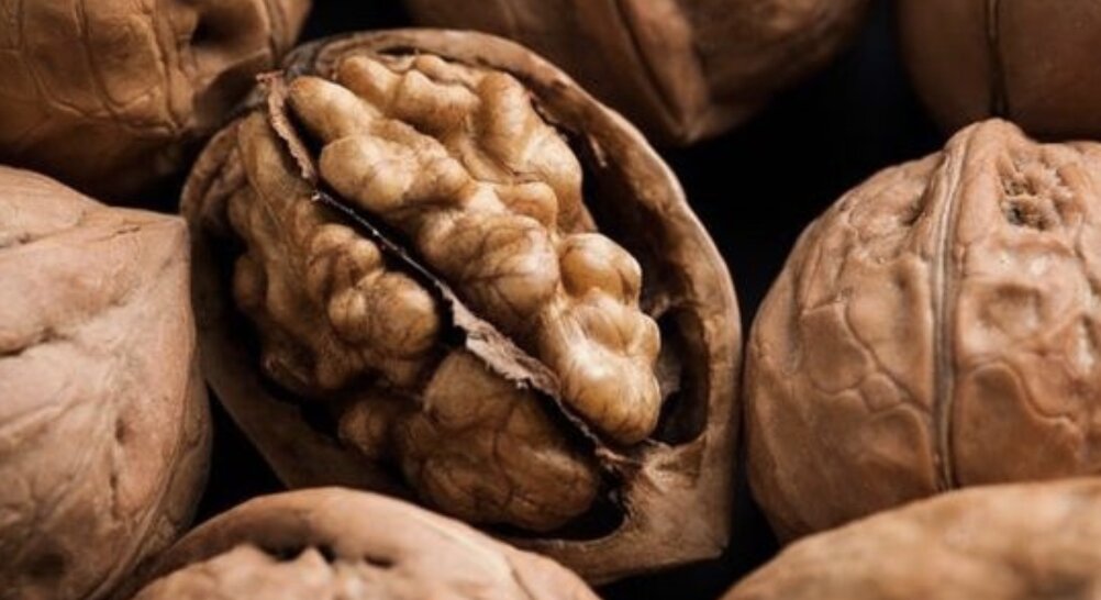 Nueces