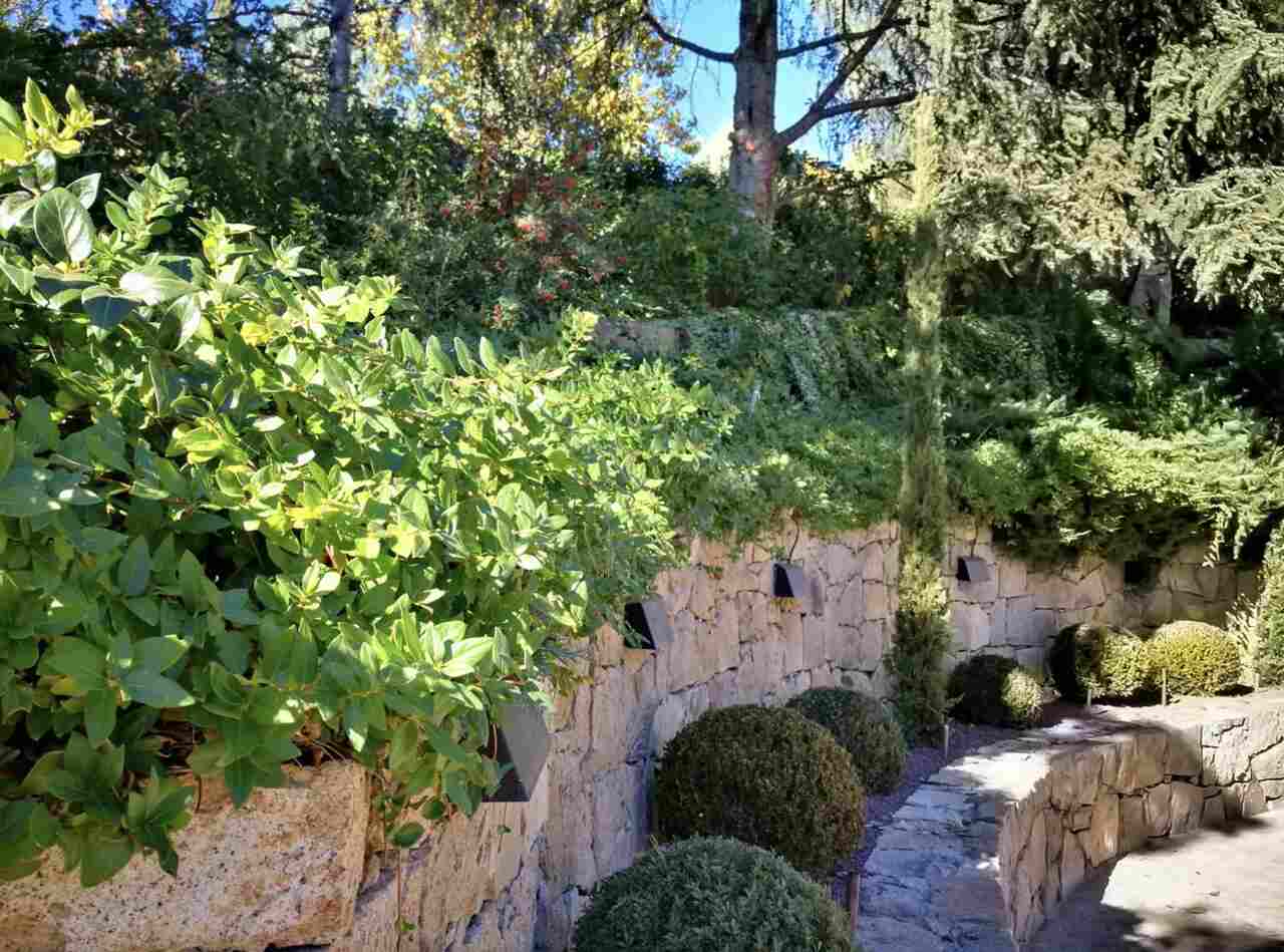 jardin