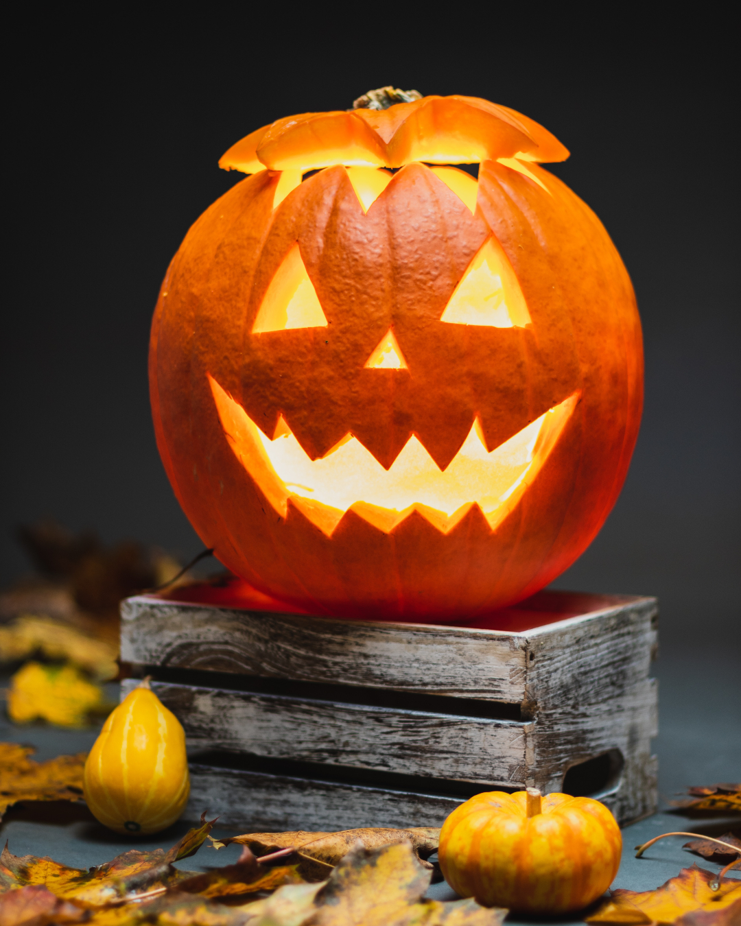 feliz halloween