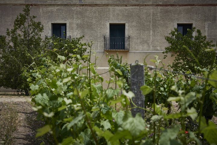 La Mejorada