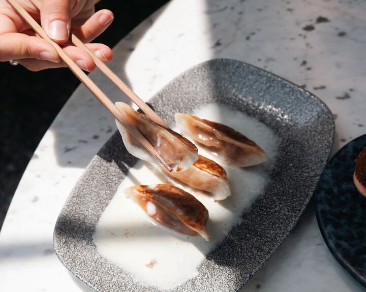 gyozas en Grupo Nomo
