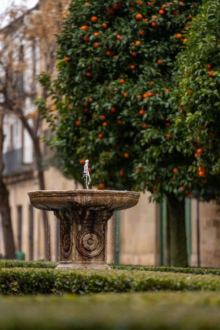 Úbeda