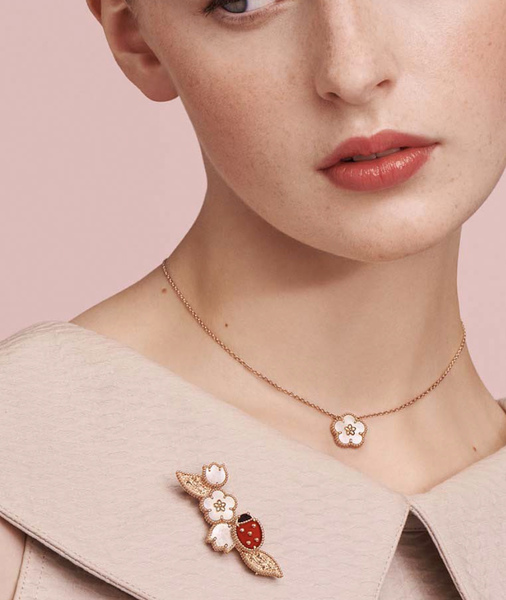 Regalar joyas