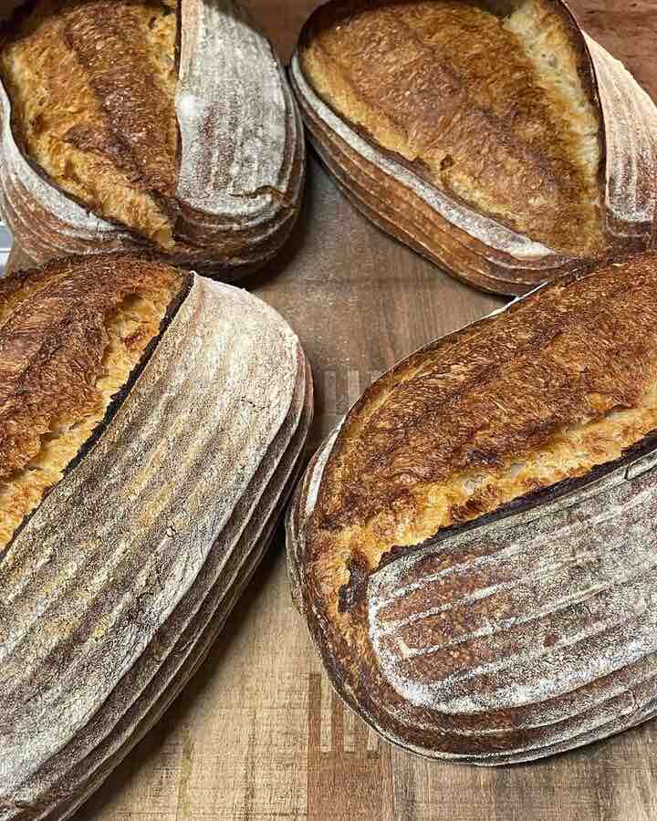 Pan en Novo Mundo