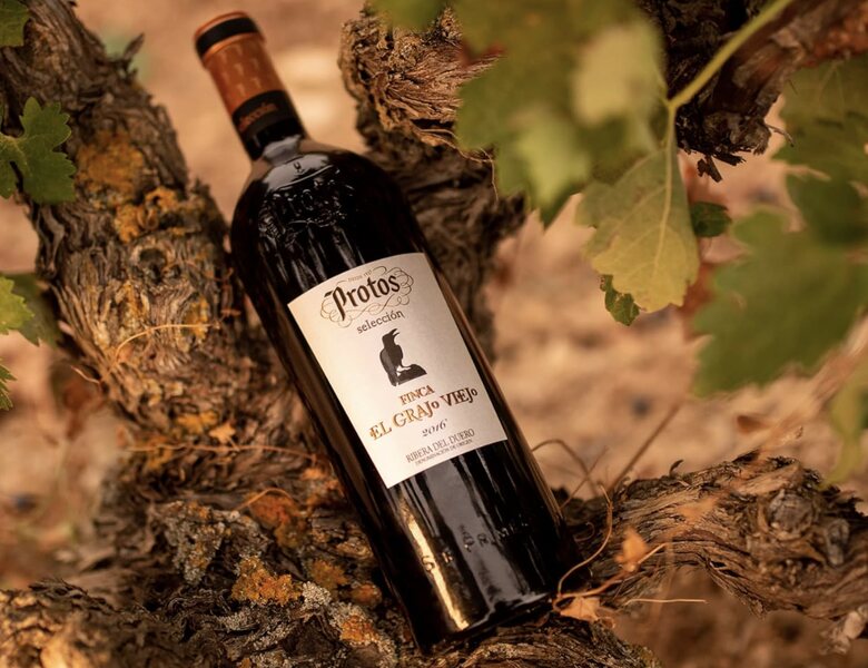 Vinos tinto