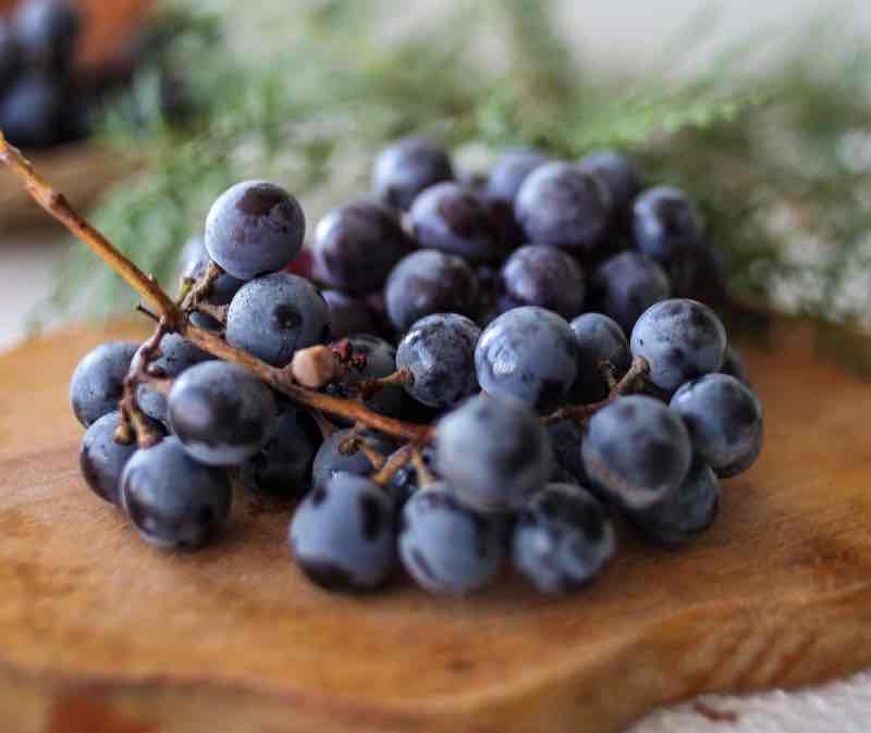 Uvas