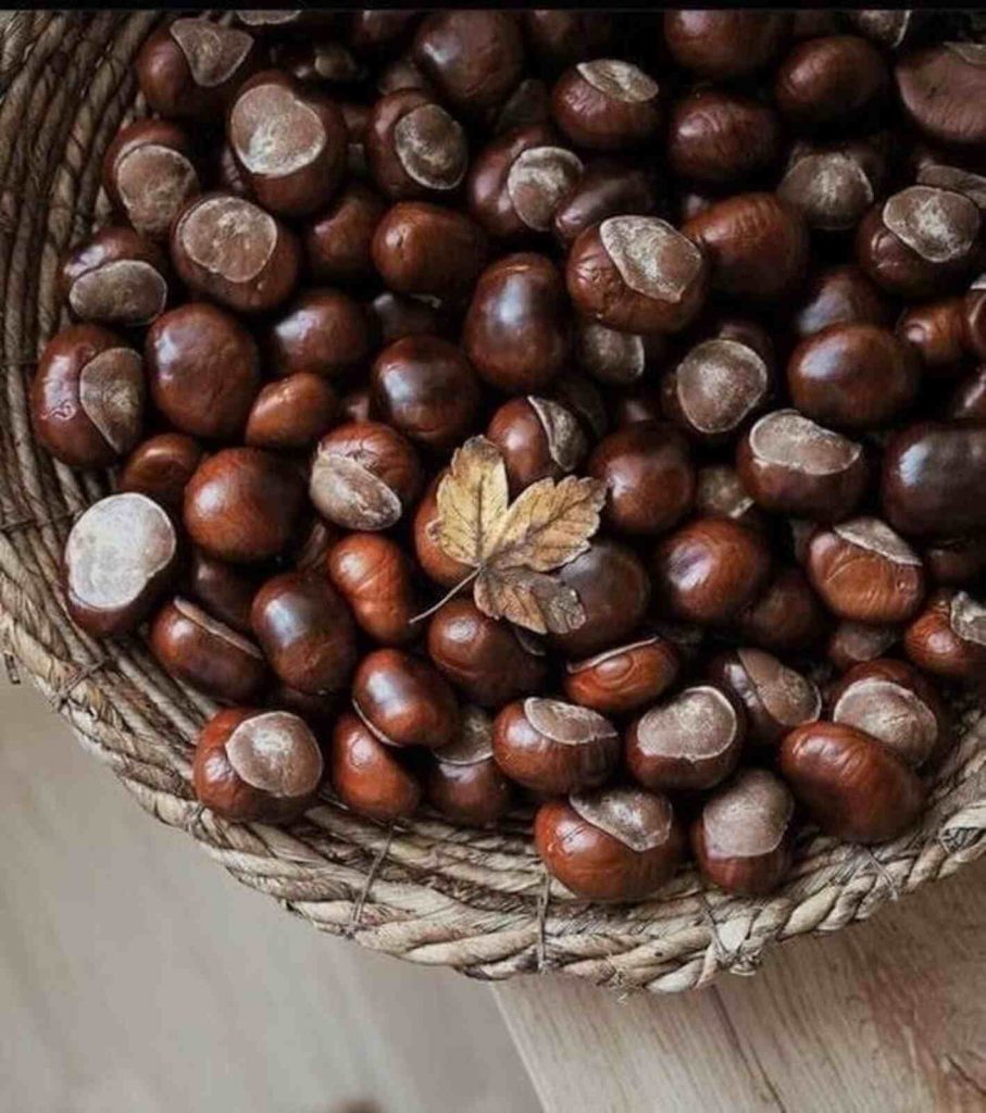 Cesta de castañas