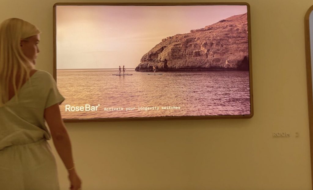 RoseBar Ibiza