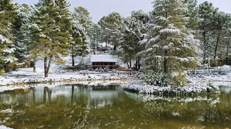 Casa rural Navidad