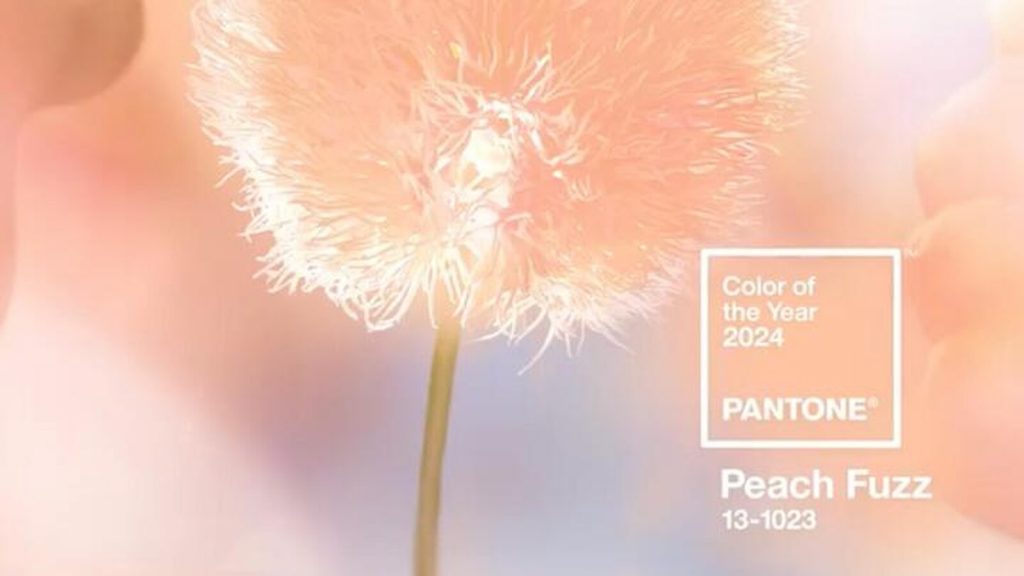 Pantone Peach Fuzz