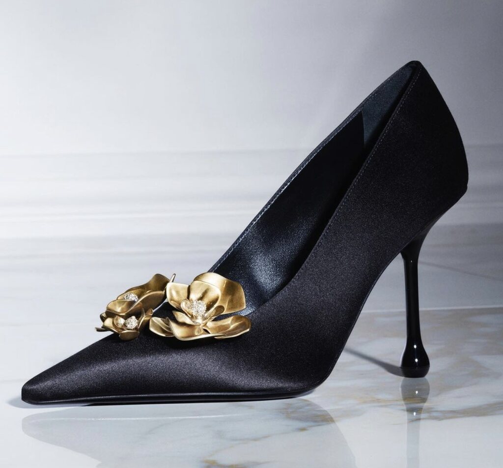 Zapatos de fiesta