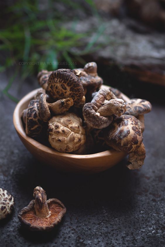 Shitake