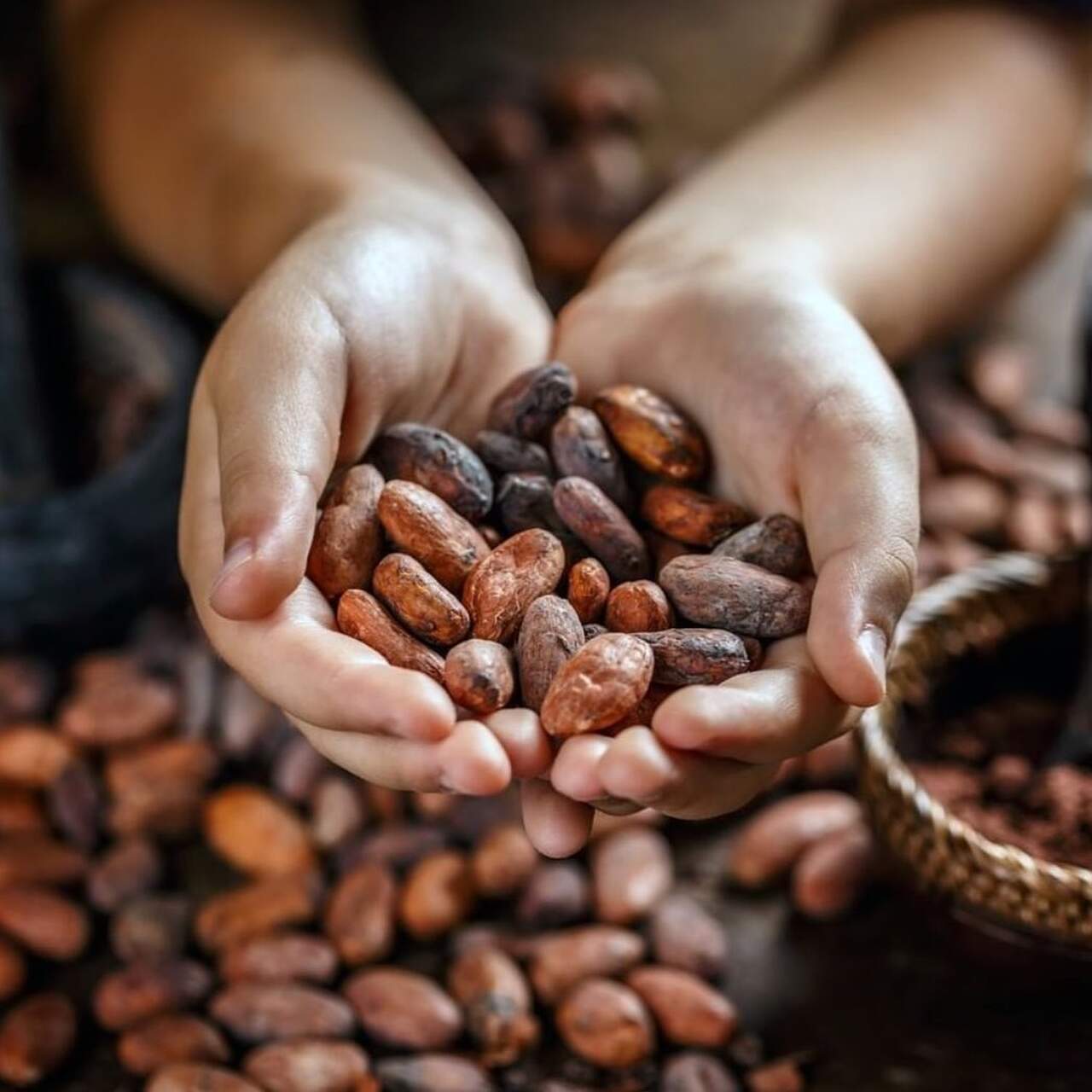 bombones de chocolate