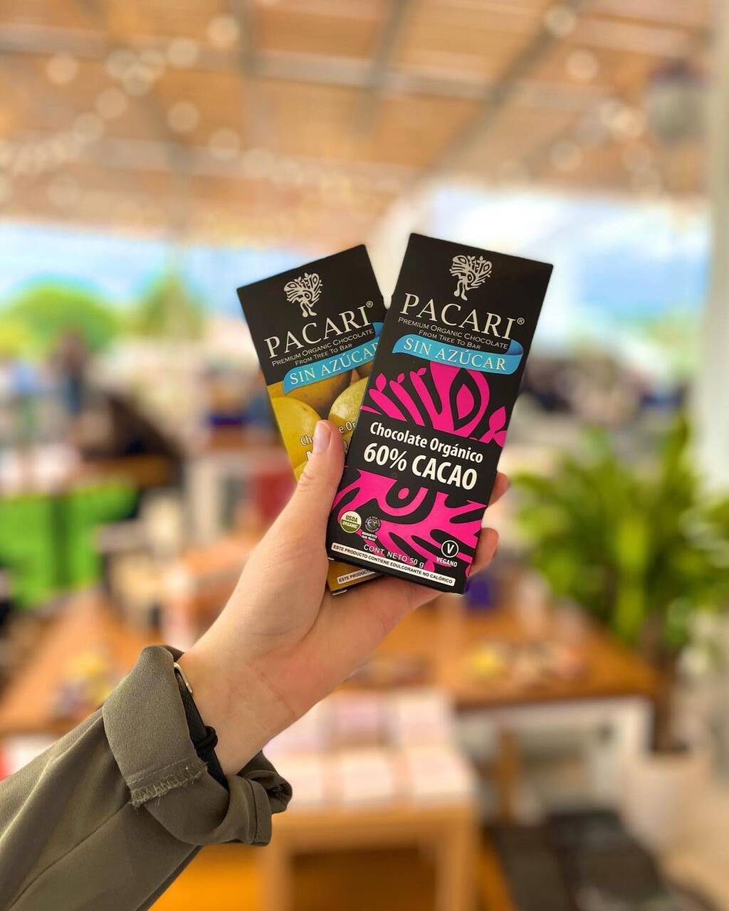 chocolate paccari
