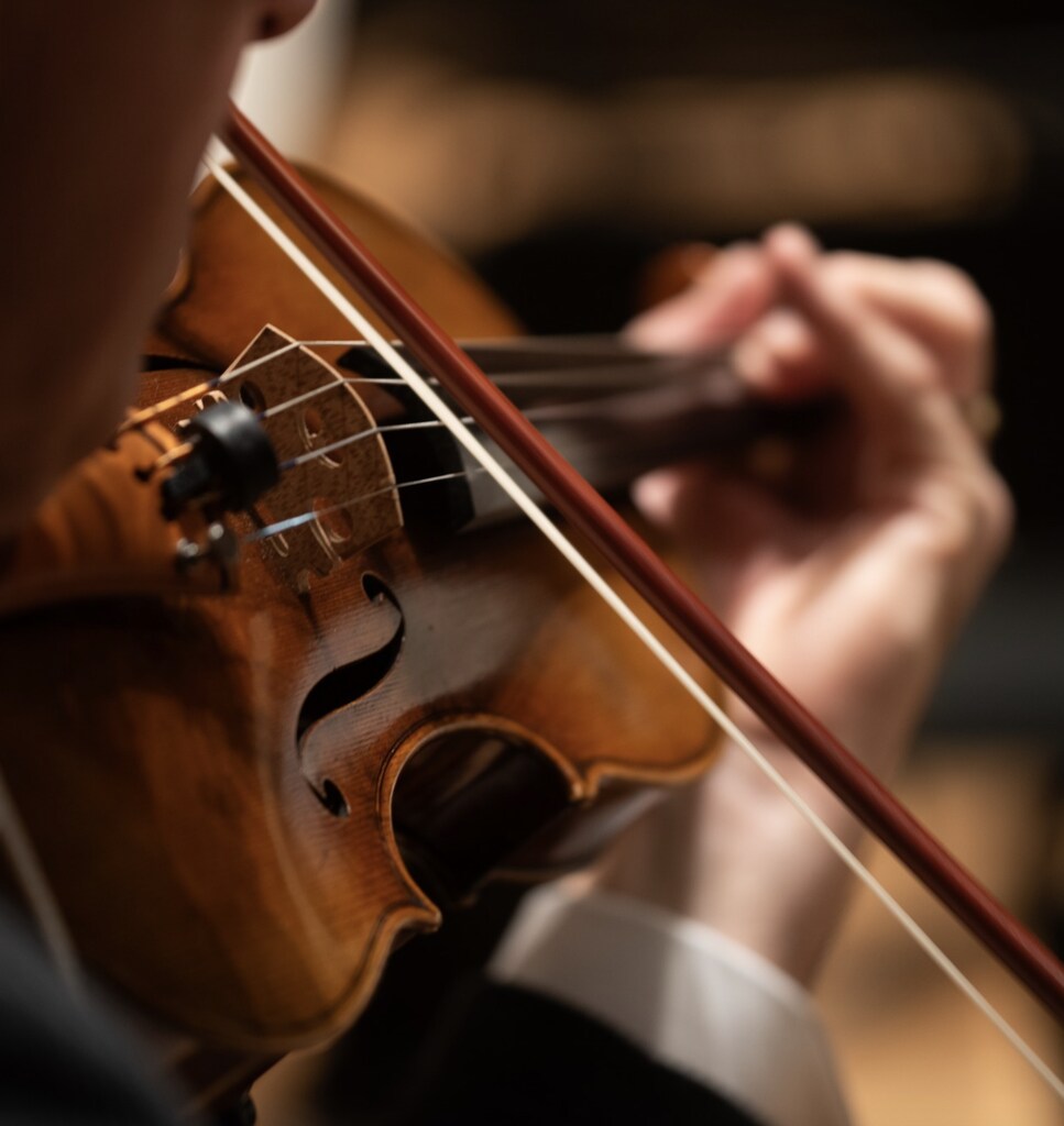 Concierto Fin de A&ntilde;oOrquesta Filarm&oacute;nica Viena
