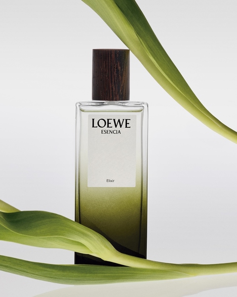 Perfume hombre
