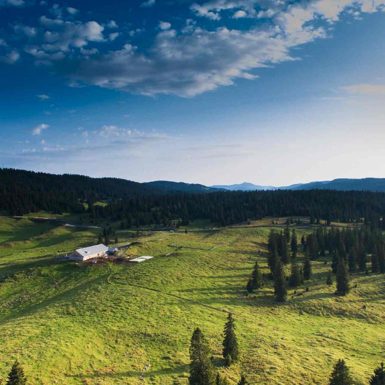 valle de joux
