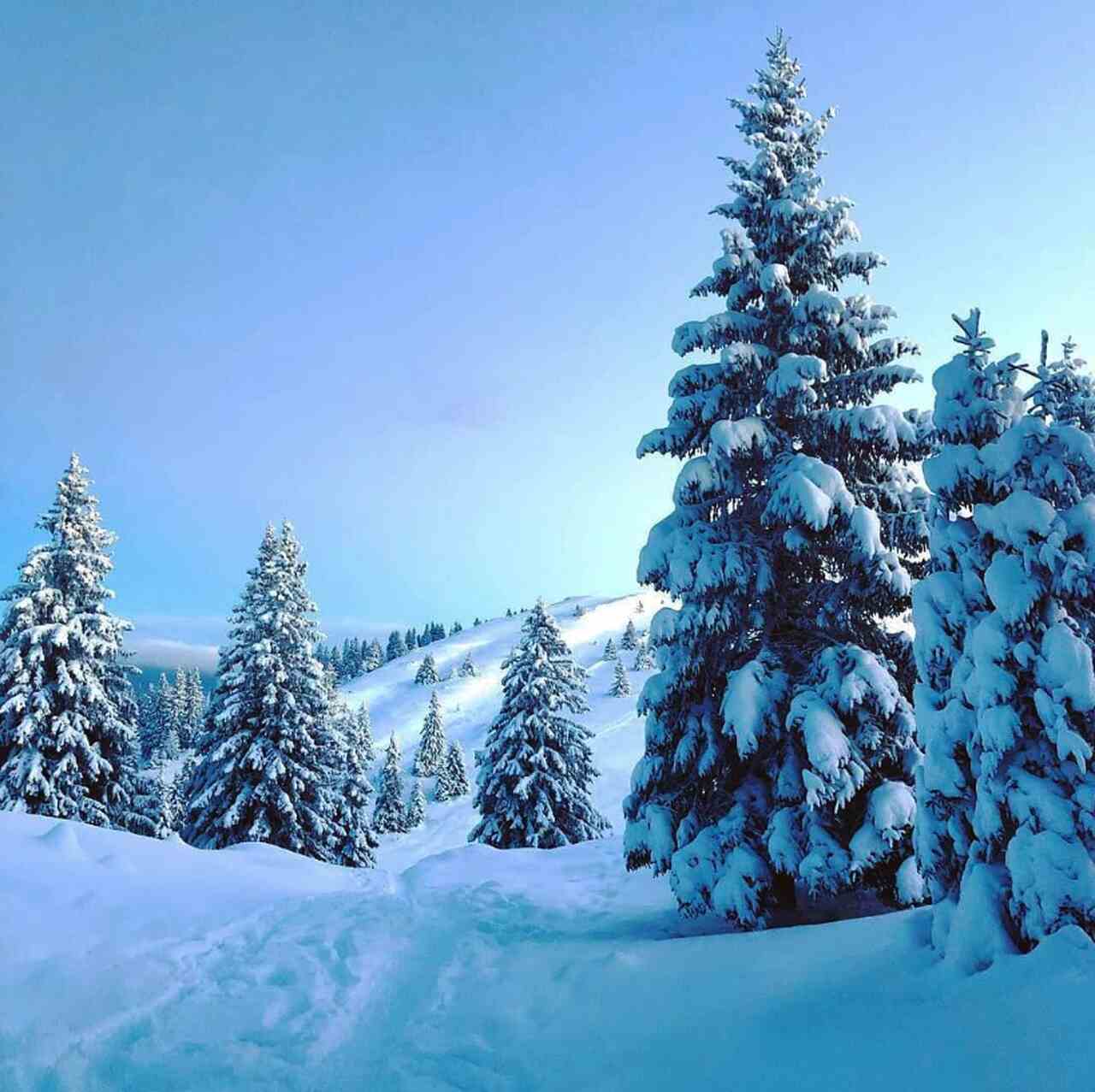 valle de joux historia