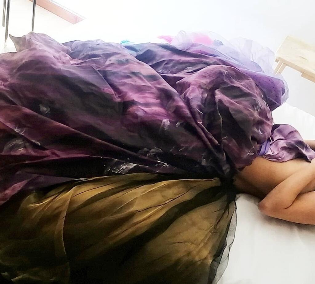 Organza de color